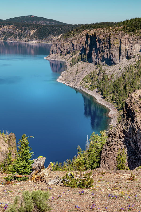 East Rim Crater Lake  Vertical Photograph by Nicholas McCabe