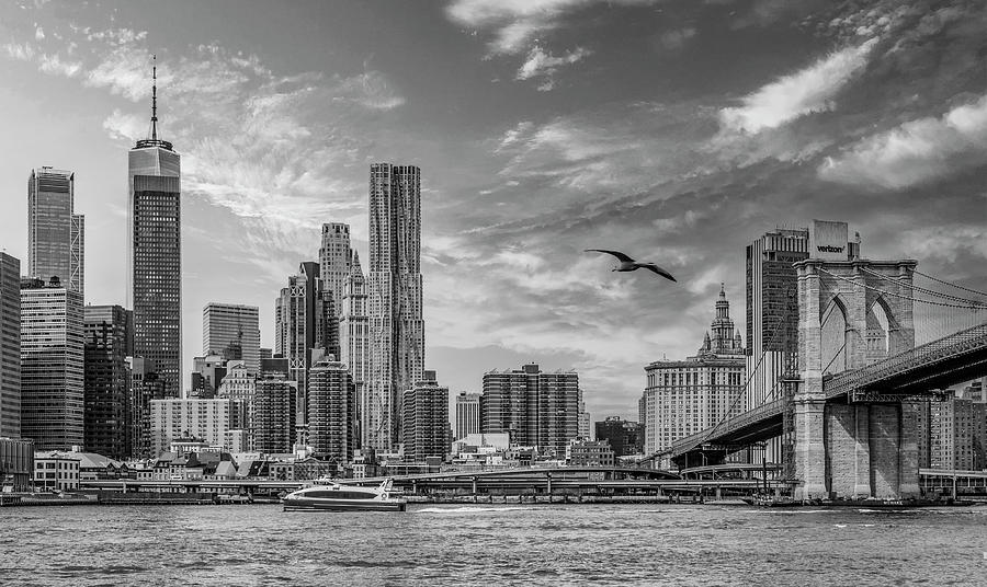 East River Afternoon From Brooklyn, Black and White Photograph by Marcy Wielfaert