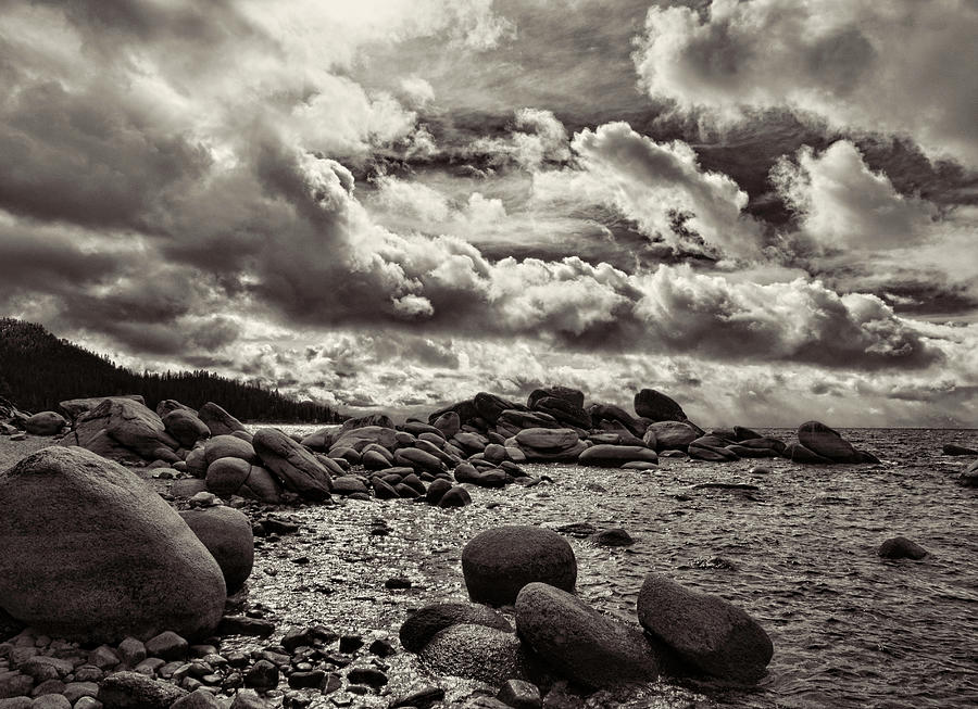 East Shore Snow- Black and White Photograph by Martin Gollery