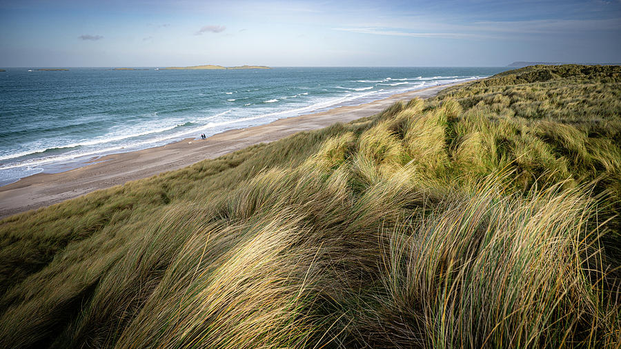 East Strand Dunes 1 Photograph by Nigel R Bell