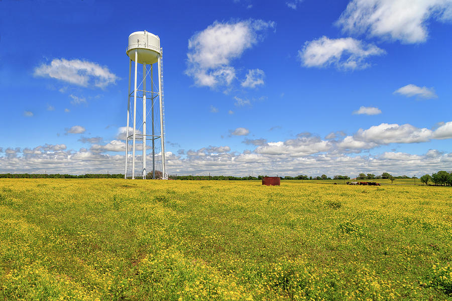 East Texas Water Tank Photograph by James Eddy