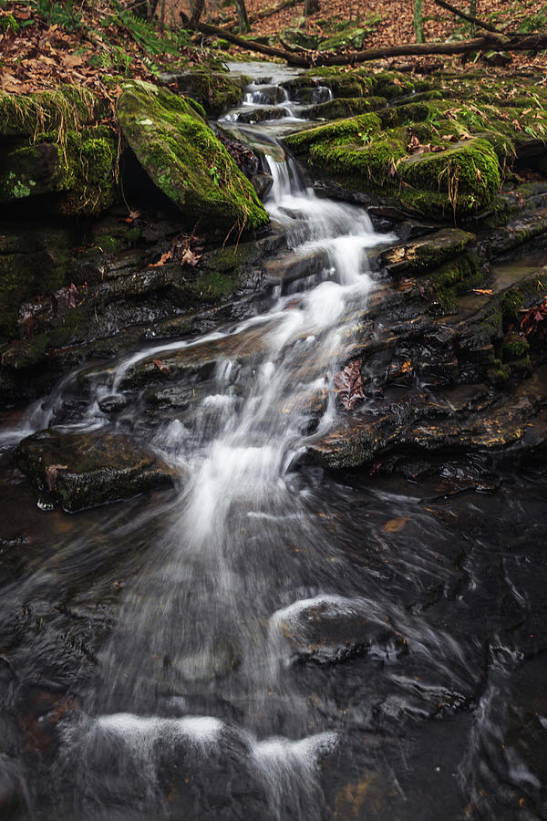 Easter Basket Cascade Photograph by Grant Twiss