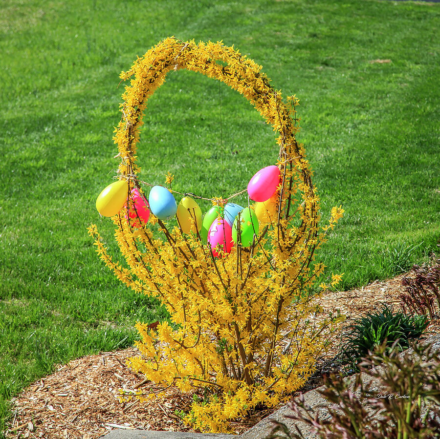 Easter Basket Photograph by Dale R Carlson