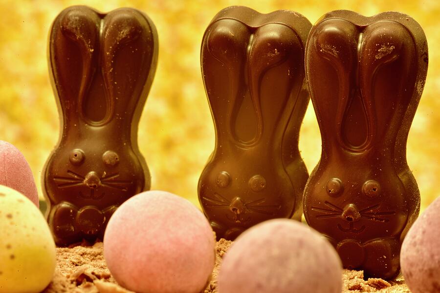 Easter Bunnies And Easter Eggs Photograph