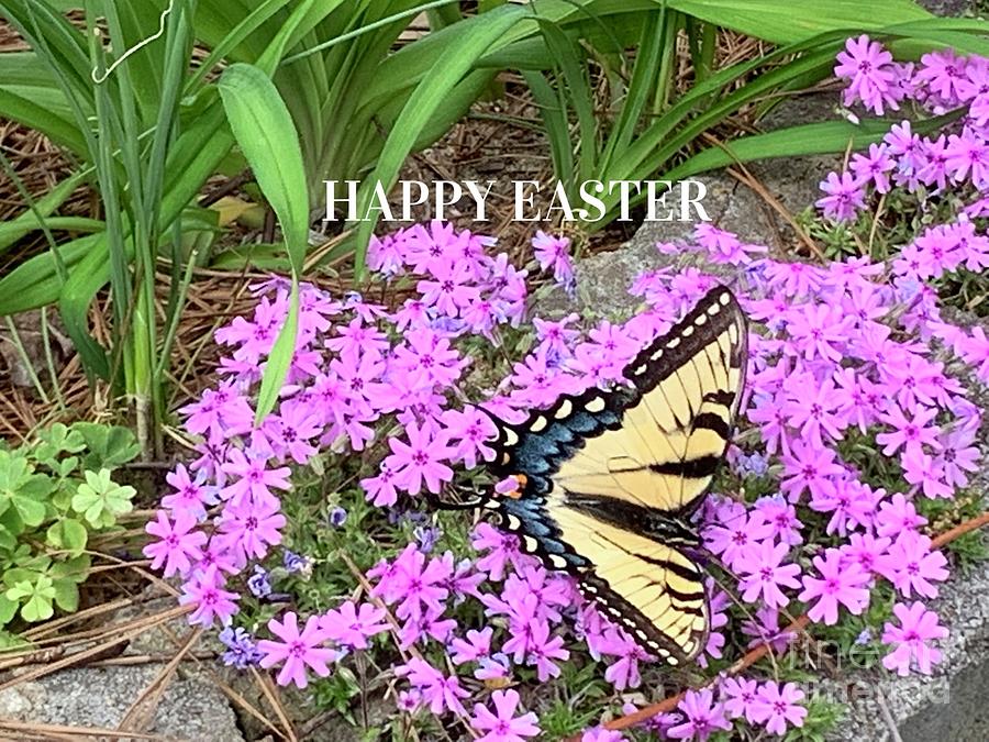 Easter Photograph by Catherine Wilson