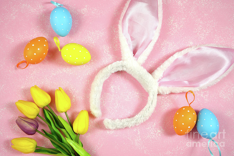 Easter creative composition with bunny ears and easter eggs on pink background. Photograph by Milleflore Images