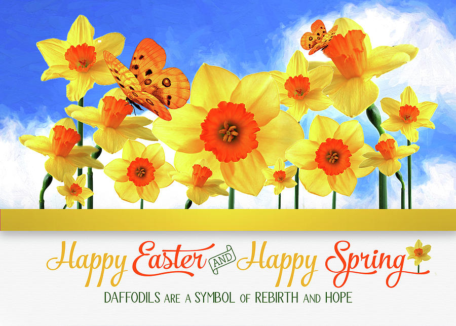 Easter Daffodil Garden with Butterflies  Digital Art by Doreen Erhardt