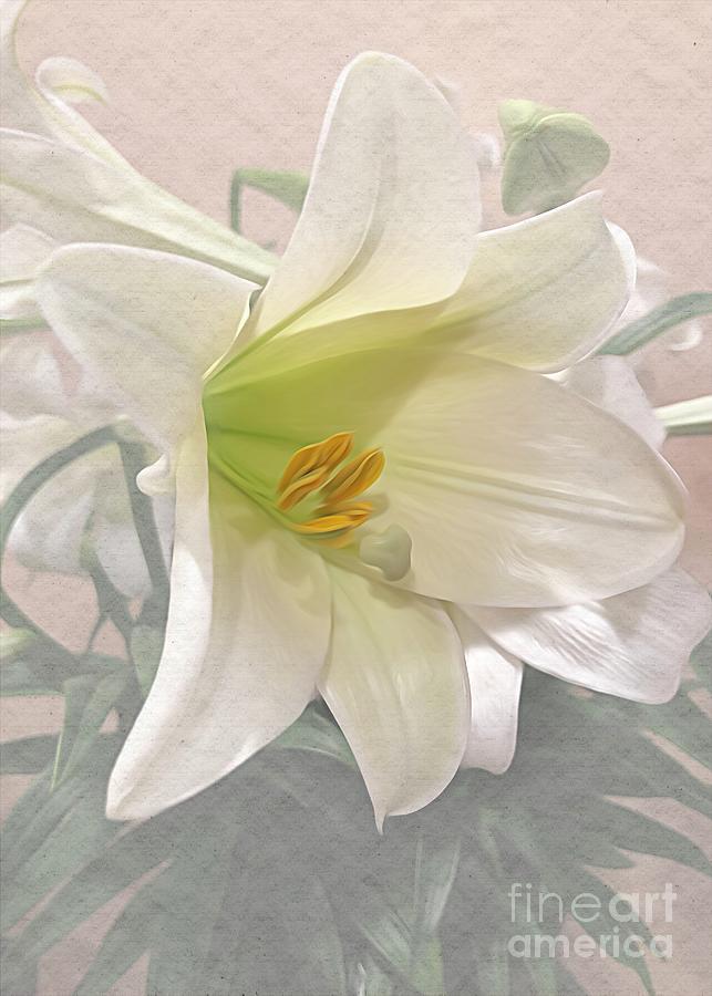 Easter Lily Photograph by Luther Fine Art