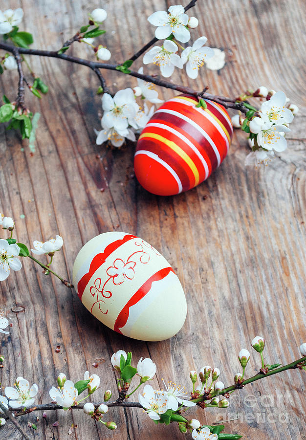 Easter eggs and cherry blossom bran Photograph by Jelena Jovanovic