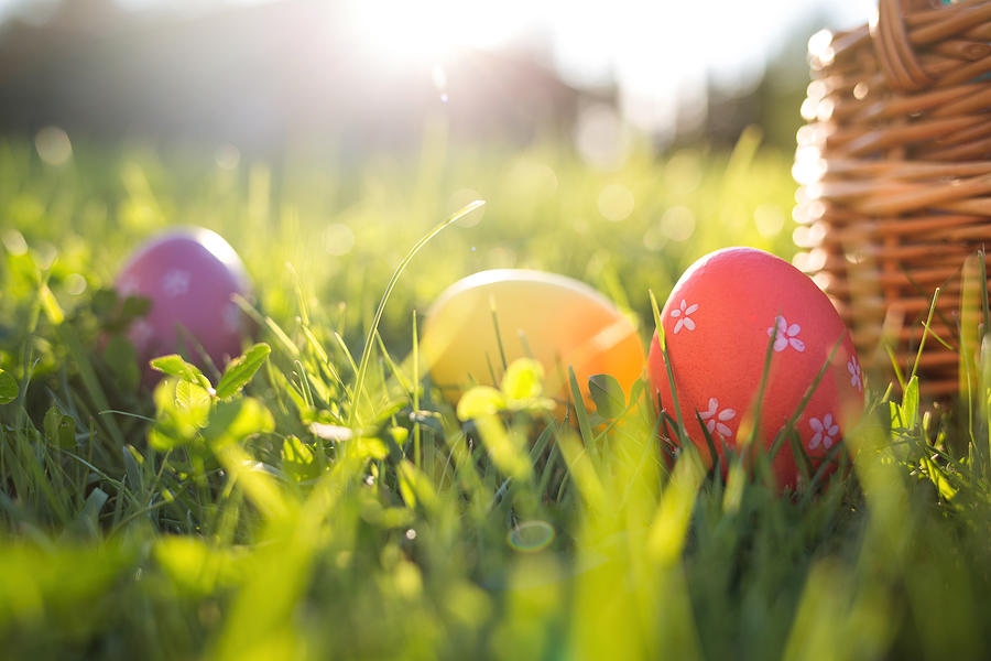 Easter eggs in a basket on the grass on a Sunny spring day close-up Photograph by Natalia Bodrova