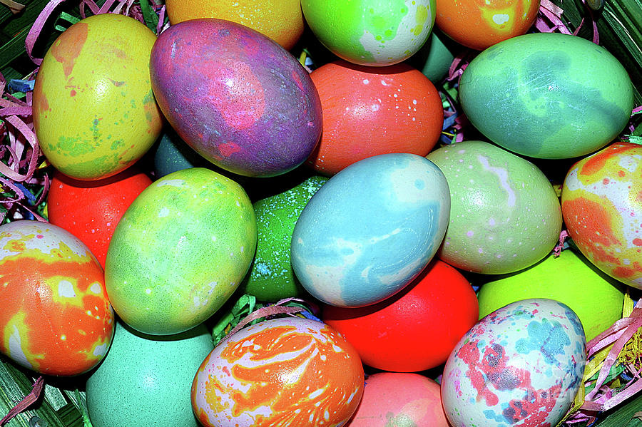 Easter Eggs Photograph by Vivian Krug Cotton
