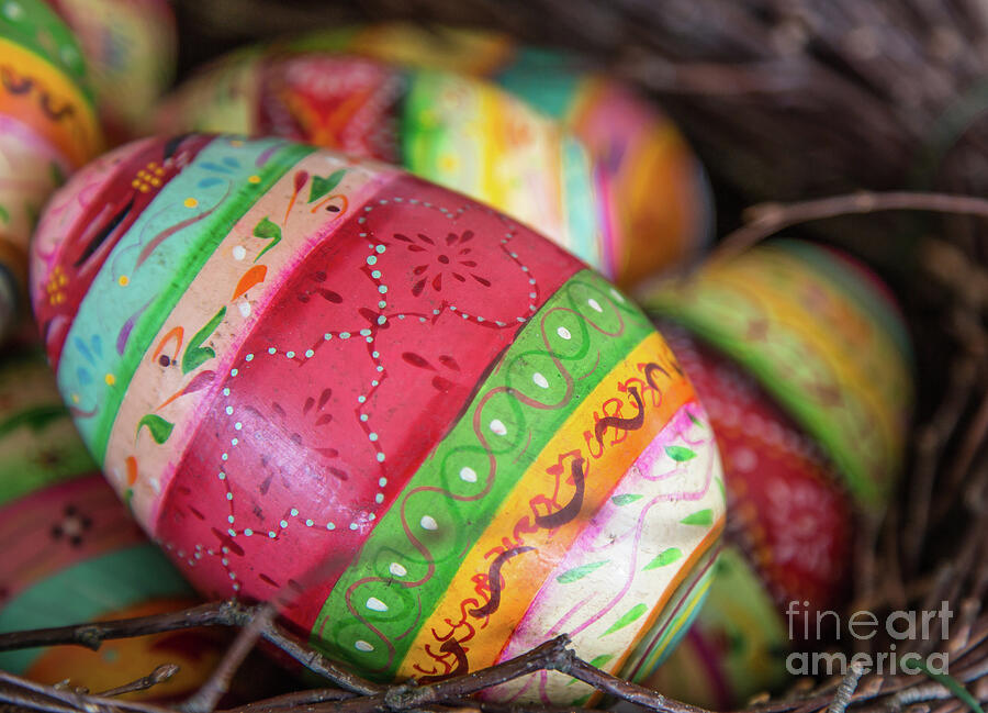 Easter Eggs3 Photograph by Eva Lechner