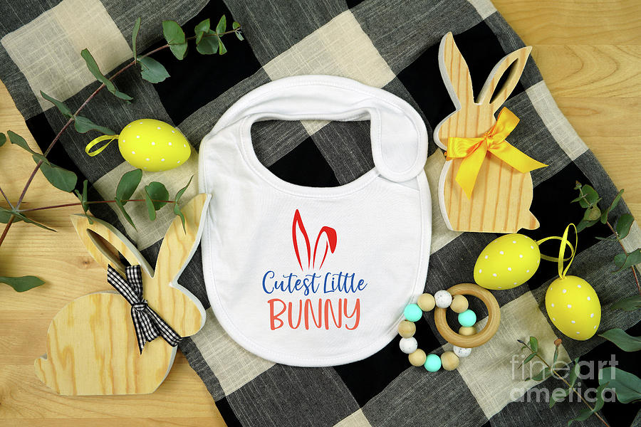 Easter farmhouse theme baby apparel top view flatlay. Mock up. Photograph by Milleflore Images