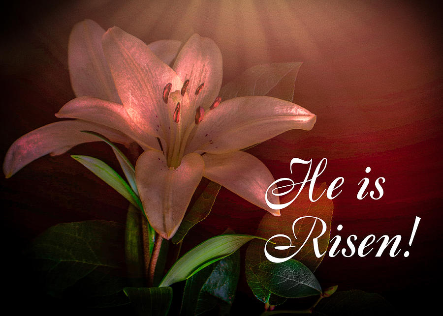 Easter Lilies- He Is Risen  Photograph by Susan Eileen Evans