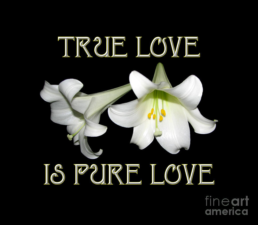 Easter Lilies True Love is Pure Love by Rose Santuci-Sofranko