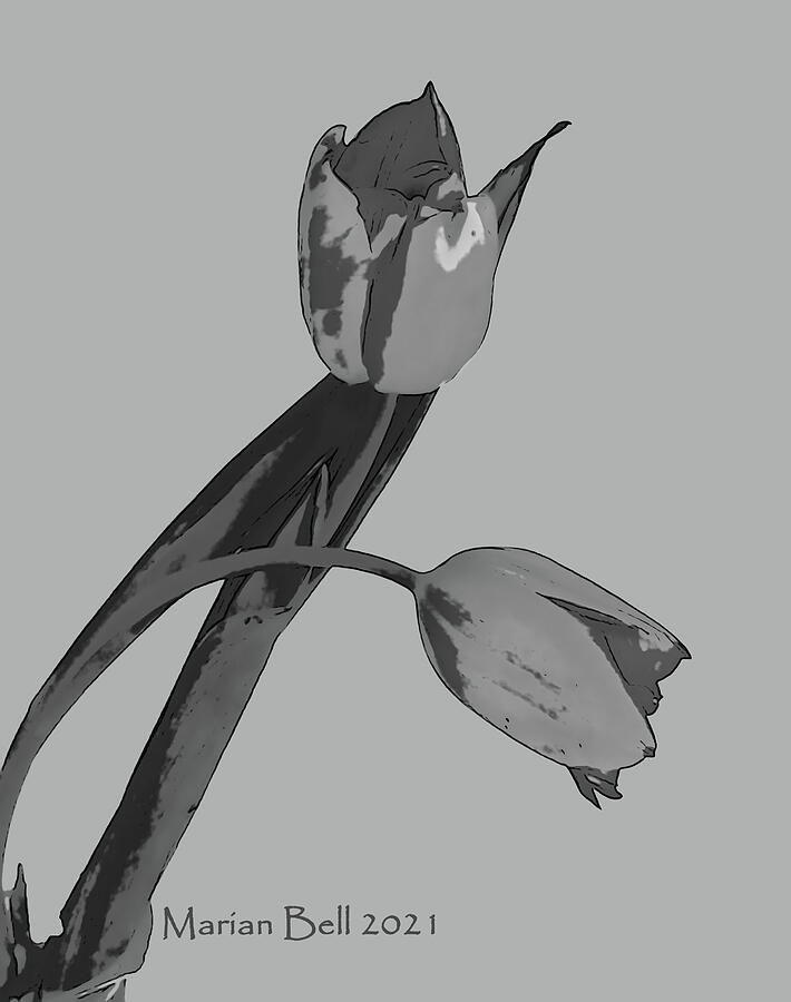 Tulip Digital Art - Easter Tulips 2021 in Greyscale by Marian Bell