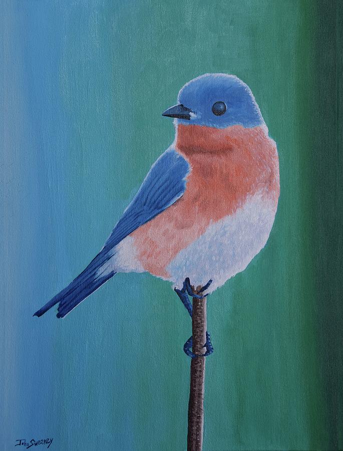 Eastern Blue Bird Painting by John Sweeney