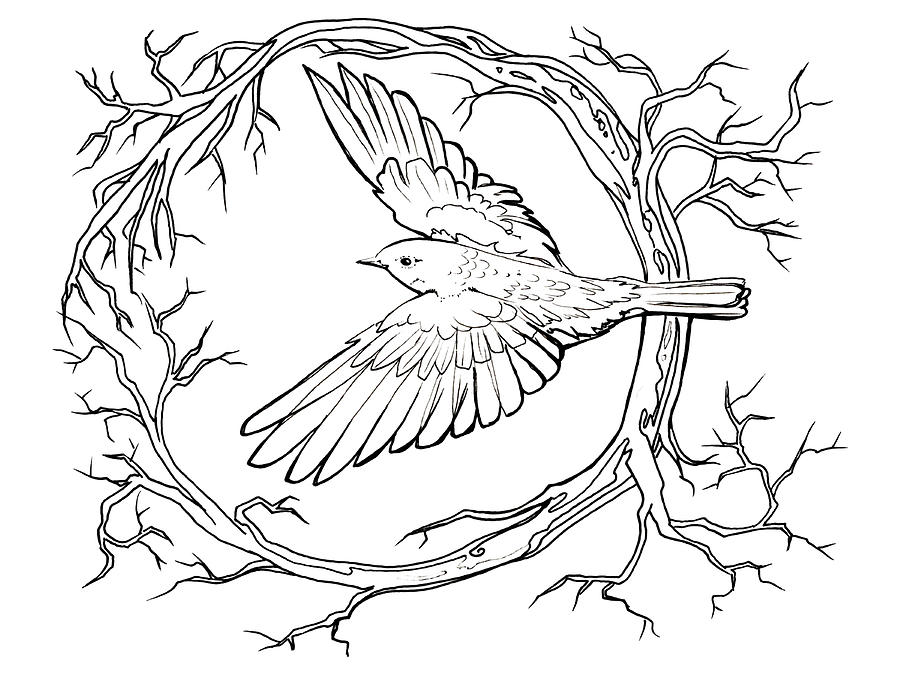 Eastern Bluebird First Bird of 2024 New Year - line art Drawing by ...