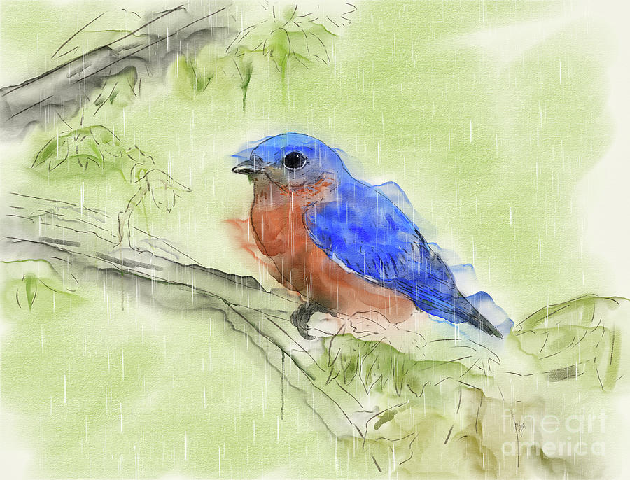 Eastern Bluebird On A Rainy Spring Day Digital Art by Lois Bryan
