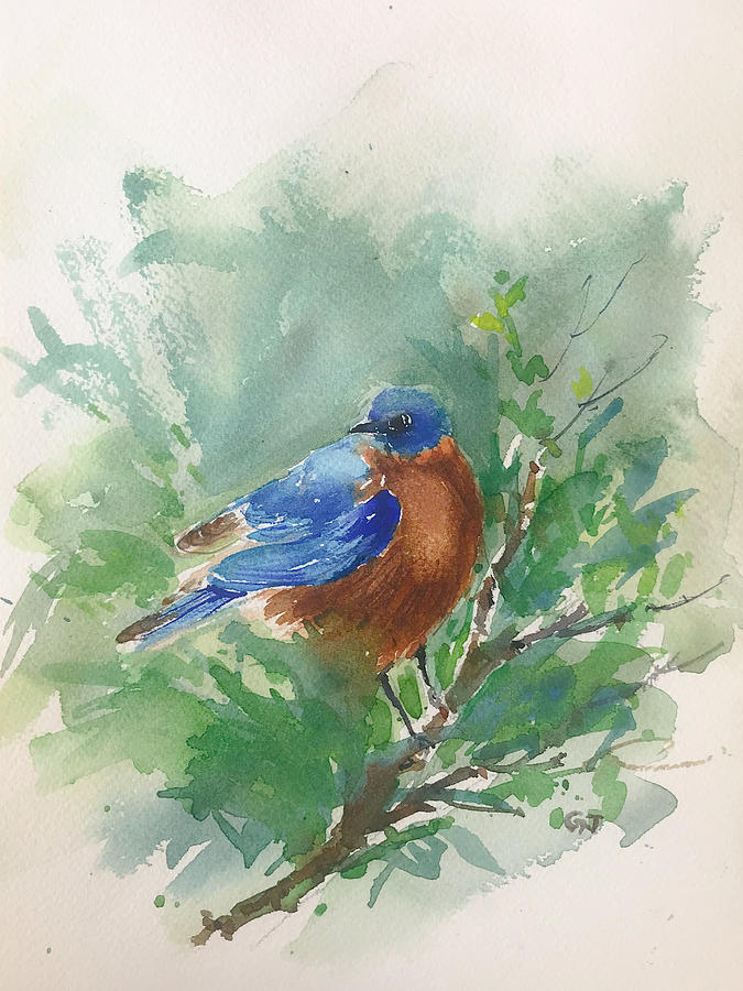 Eastern Bluebird watercolor Painting by George Jacob - Fine Art America