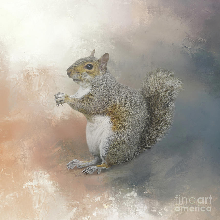 Squirrel Mixed Media - Eastern Gray Squirrel 02 by Elisabeth Lucas