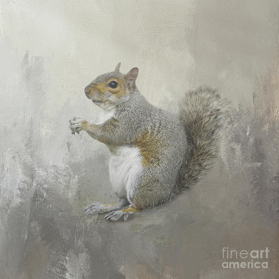 Squirrel Mixed Media - Eastern Gray Squirrel 1 by Elisabeth Lucas