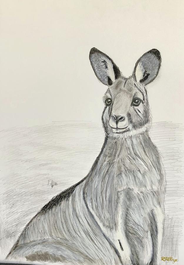 Eastern Grey Kangaroo  Drawing by Richard Le Page