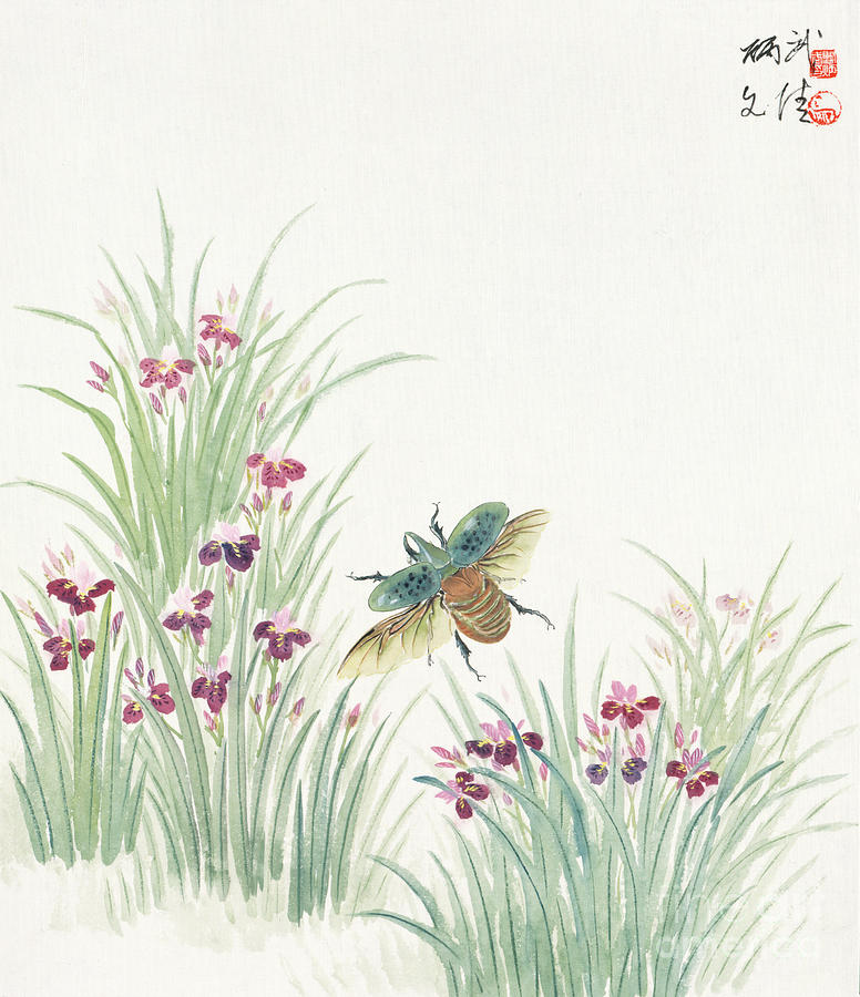 Eastern Hercules Beetle Painting by Yan Bingwu and Yang Wenqing