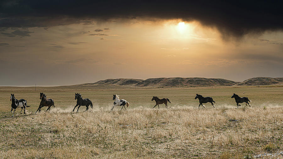Eastern Montana Horses Photograph by Bert Peake