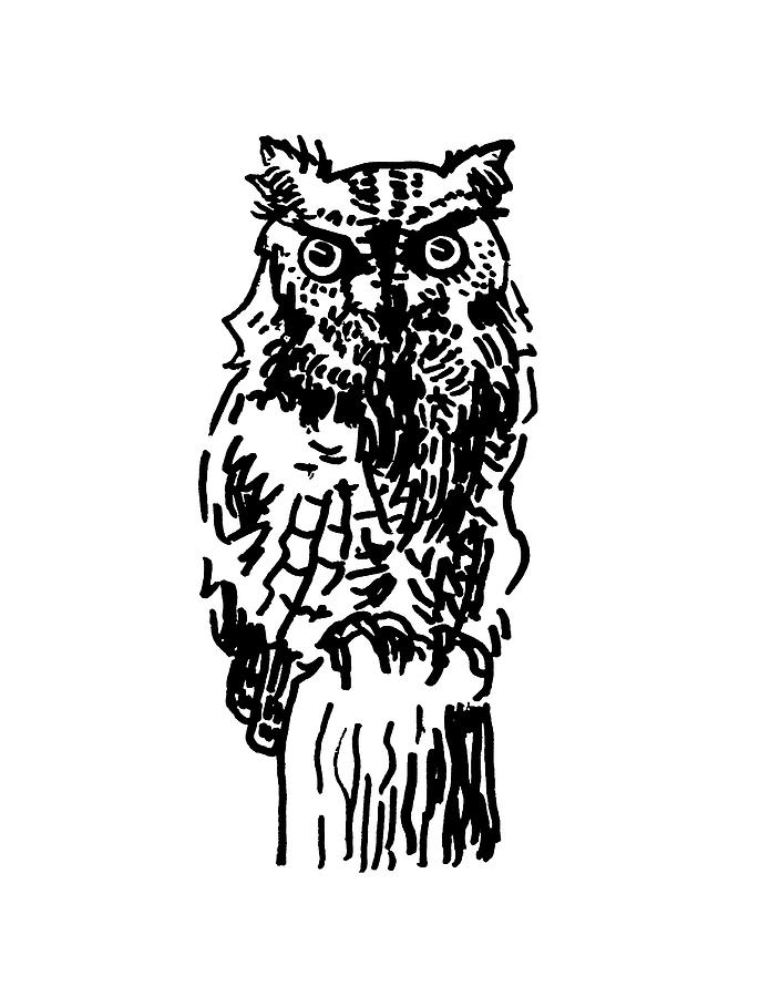 Eastern Screech-Owl Drawing by Masha Batkova