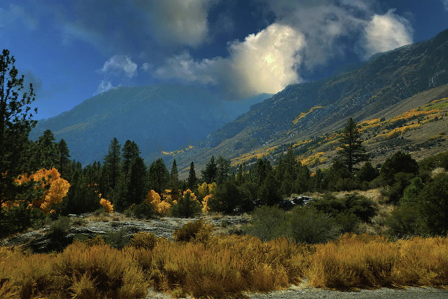 Eastern Sierra Fall Colors Photograph by Walter Fahmy