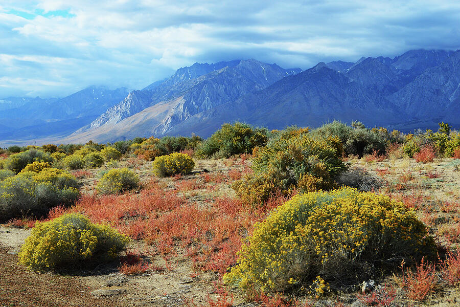 Eastern Sierra Nevada Mountains Photograph