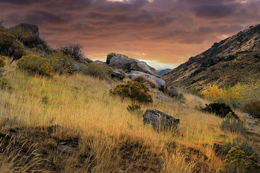 Eastern Sierra Sunrise Photograph by Frank Wilson