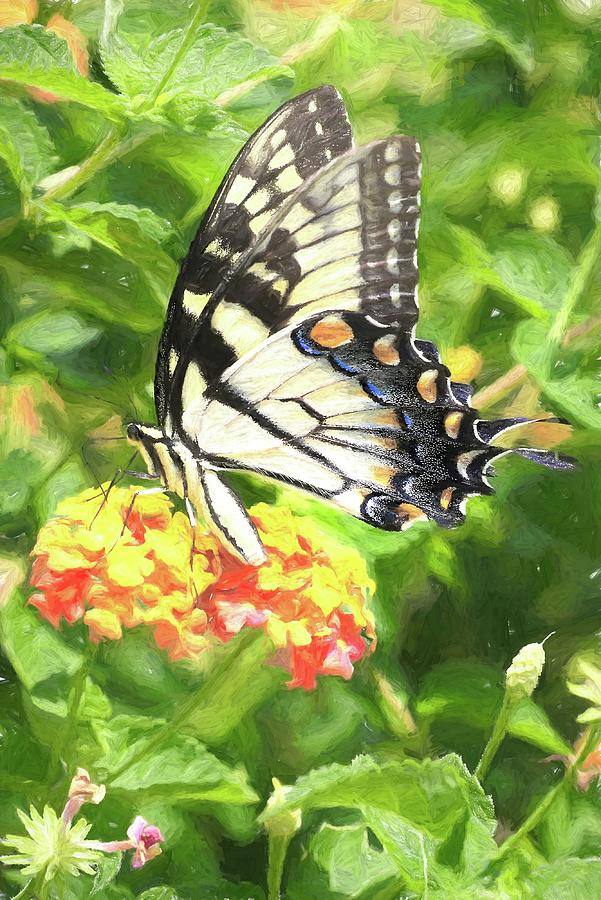 Eastern Swallowtail and Lantana Impressions Photograph by Carol Montoya