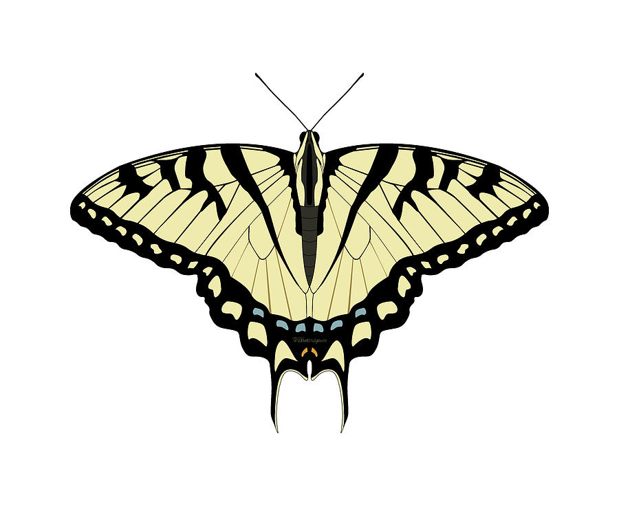 Eastern Tiger Swallowtail Digital Art by Teresamarie Yawn