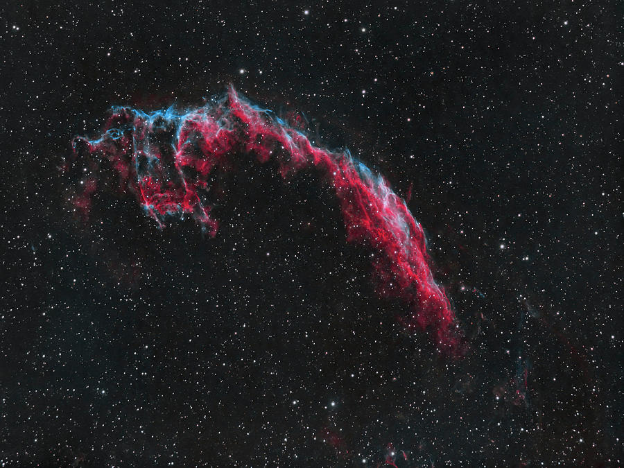 Eastern Veil Photograph by Ralf Rohner