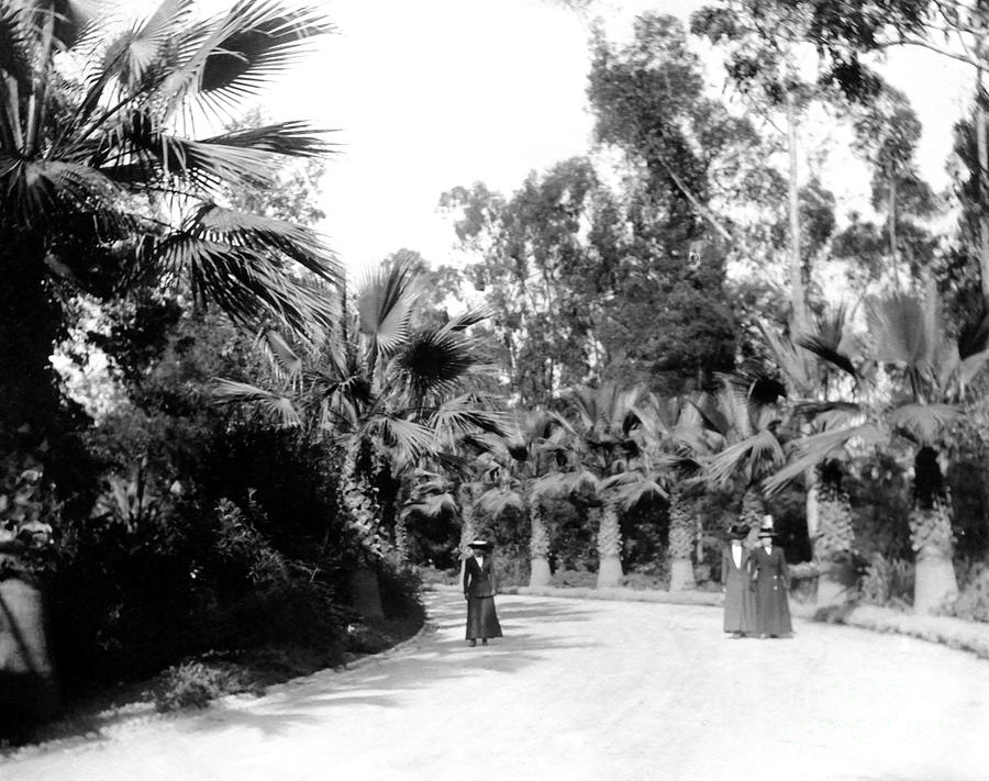 Eastlake Park Los Angeles Early 1910 Photograph by Sad Hill - Bizarre Los Angeles Archive