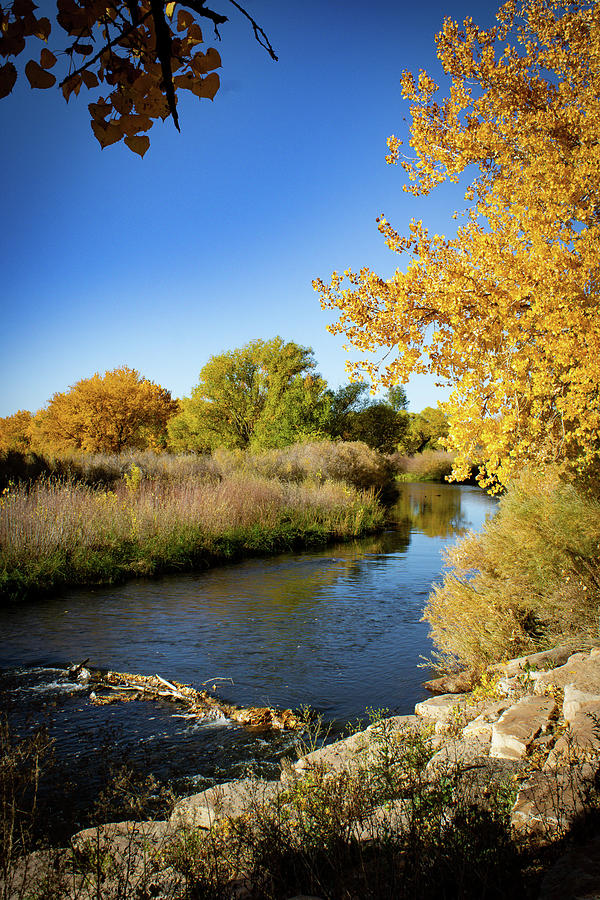 Eastman Park Photograph by Amber Osburne - Fine Art America