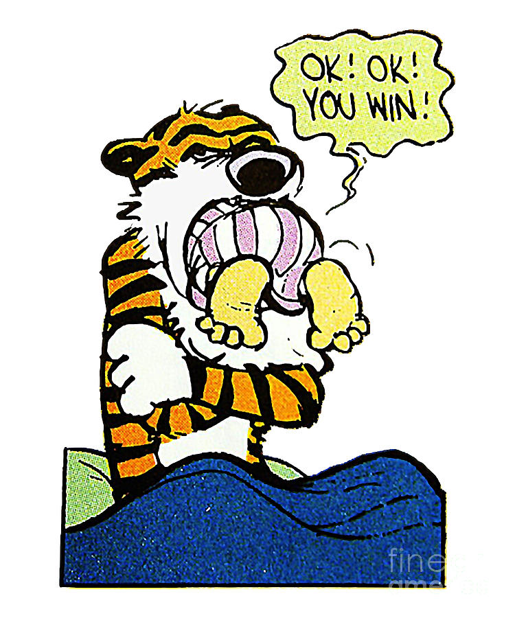 Easy Steps Calvin And Hobbes Adventures Funny Ts Digital Art By Calvin Hobbes Adventure 6781