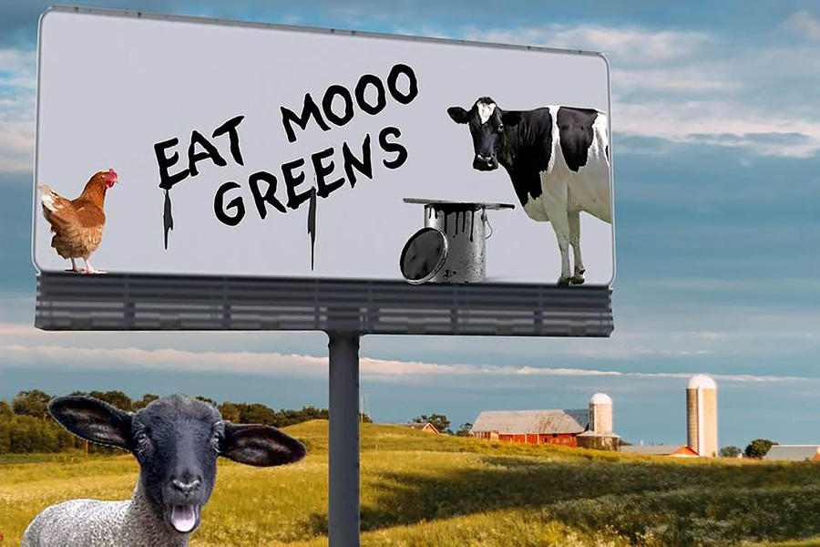 Eat Moo Greens Photograph by James Bethanis