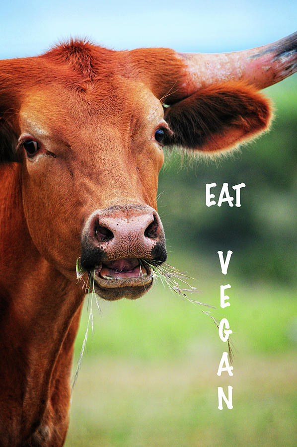 Eat Vegan Photograph by Lynn Bauer
