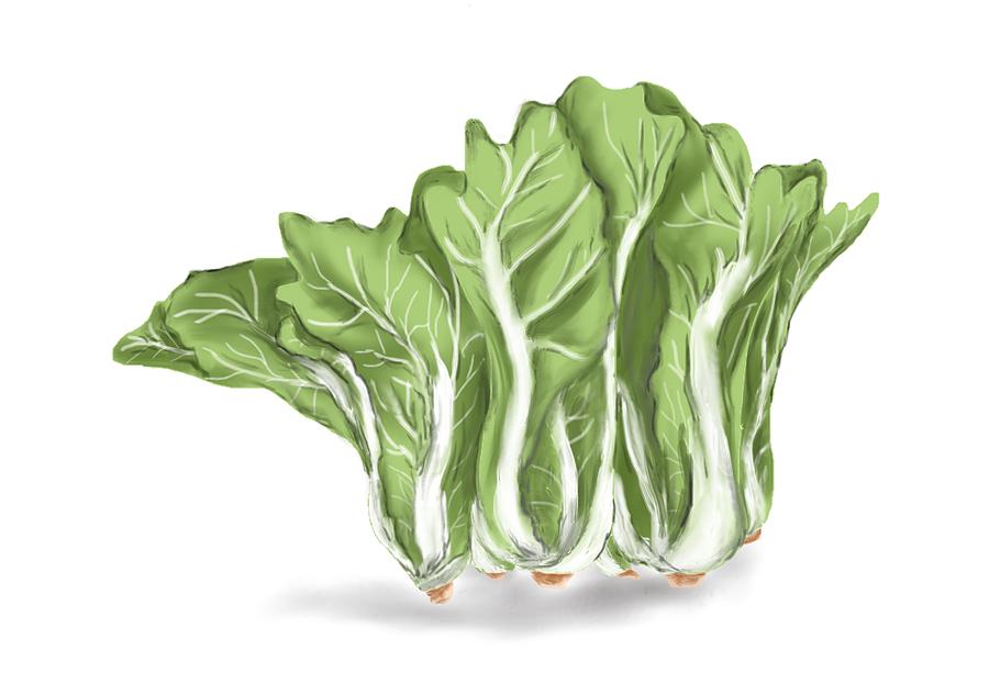 Eat Veggie a Day by Sandy Gabriel Eat Veggie a Day by Sandy Gabriel