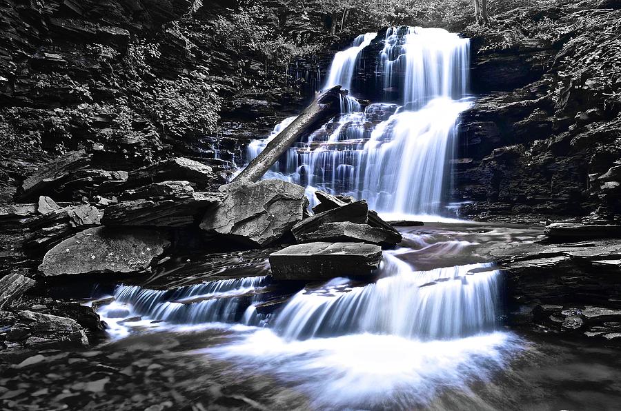 Nature Photograph - Ebb and Flow Black and White and Color by Frozen in Time Fine Art Photography