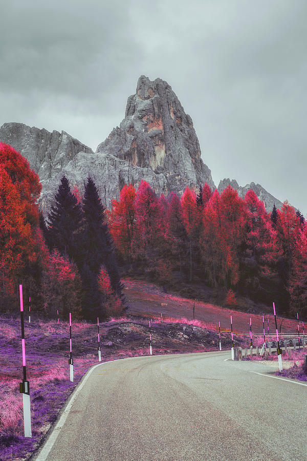 Landscape Vista, Nature - Infrared - Purple #5 Digital Art by Celestial Images
