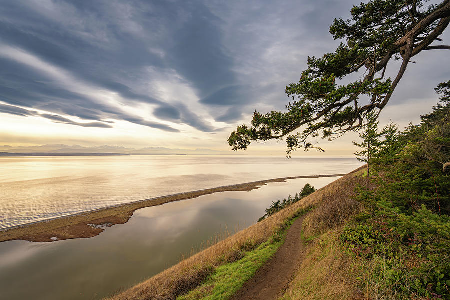 Ebey Bluff Trail Photograph by Gary Skiff