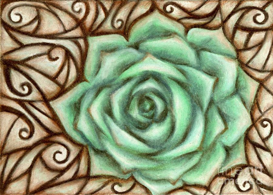 Echeveria Succulent Drawing Drawing by Kristin Aquariann