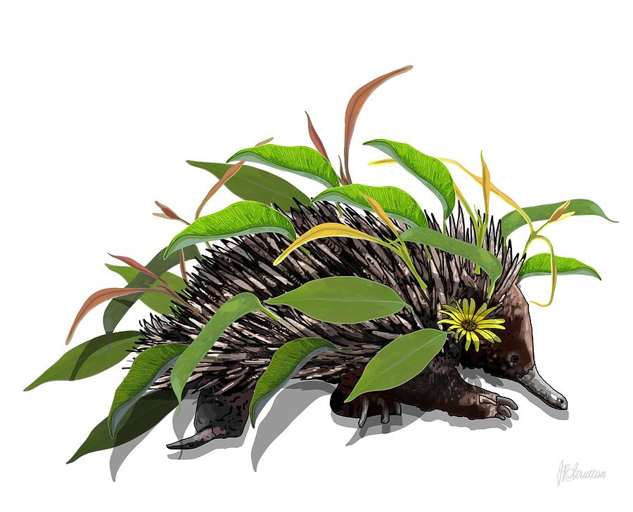 Echidna Dressed In Gumnut Leaves Painting by Joan Stratton