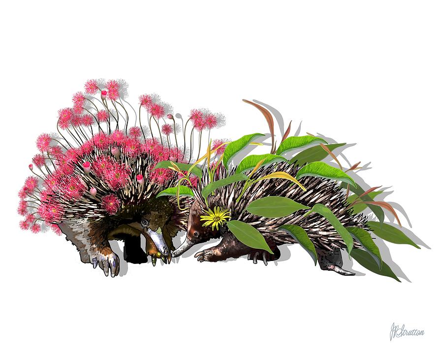 Echidna Springtime Mating Pair Digital Art by Joan Stratton