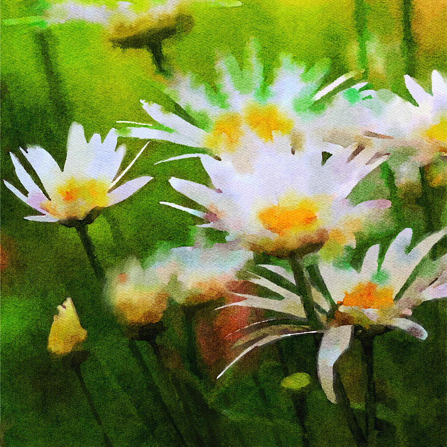 Echinacea Flowers Mixed Media by Ann Leech