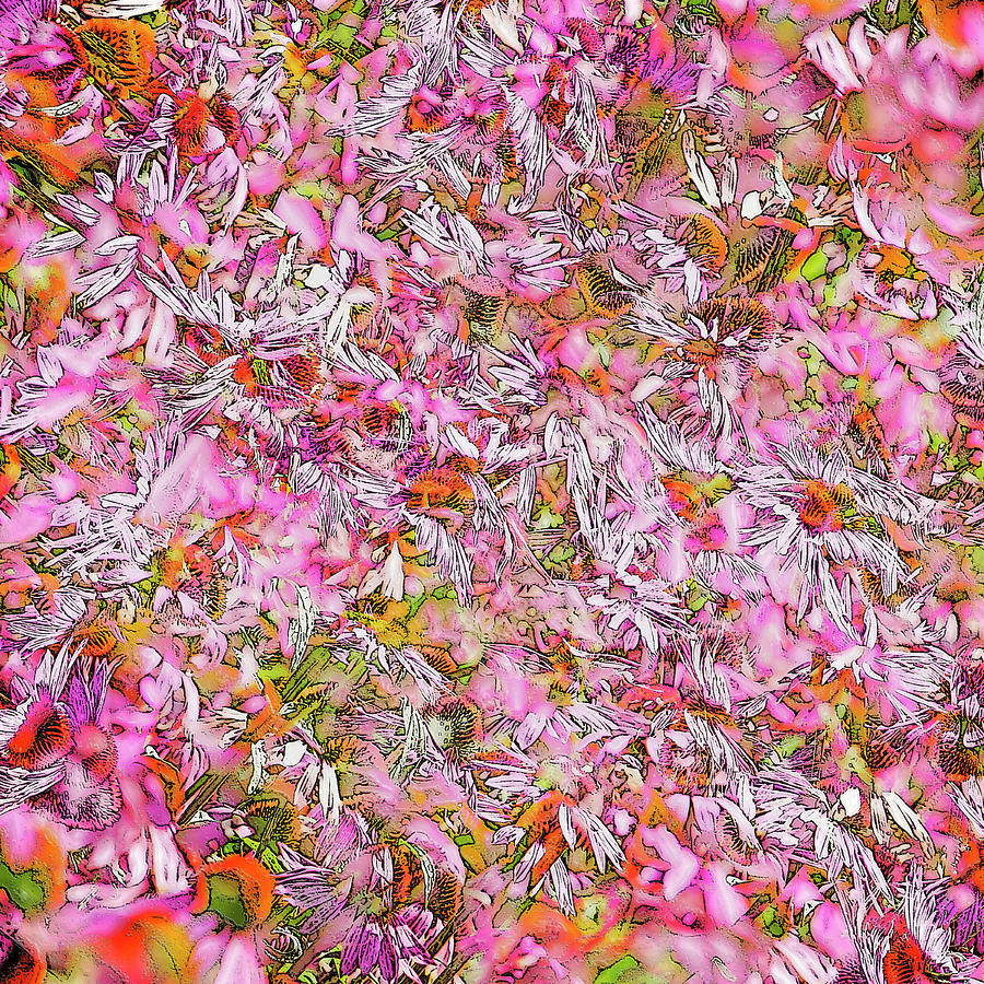 Echinacea Purpurea Digital Art by Frans Blok